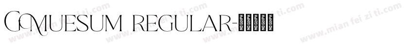 G Muesum regular字体转换